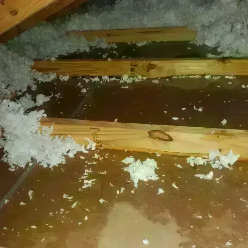 Attic Water Damage in Cibolo, TX